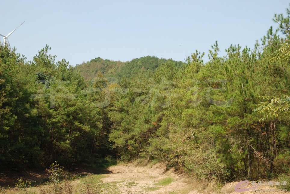 05.jpg