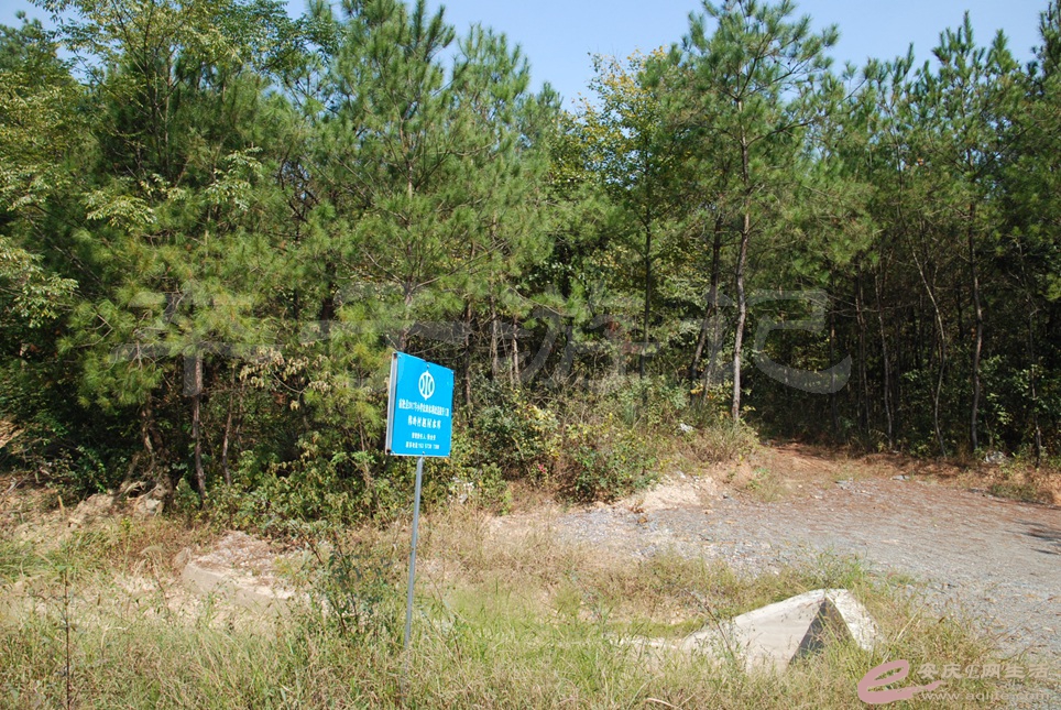 07.jpg