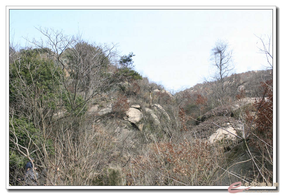 20150307 017.jpg