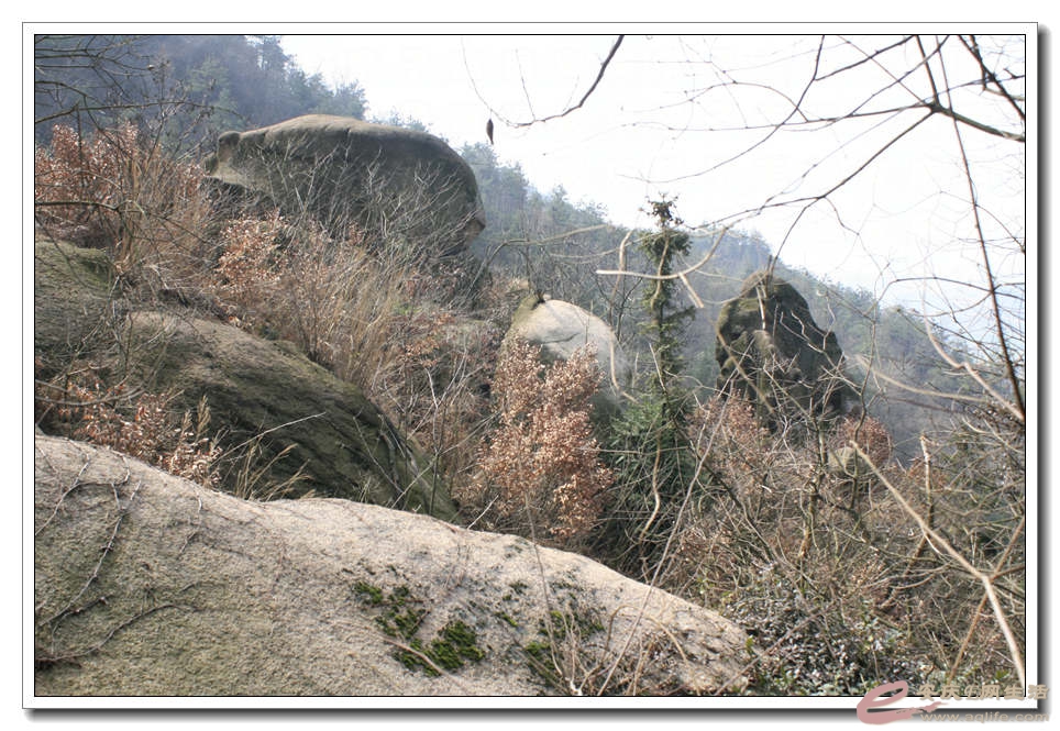 20150307 039.jpg