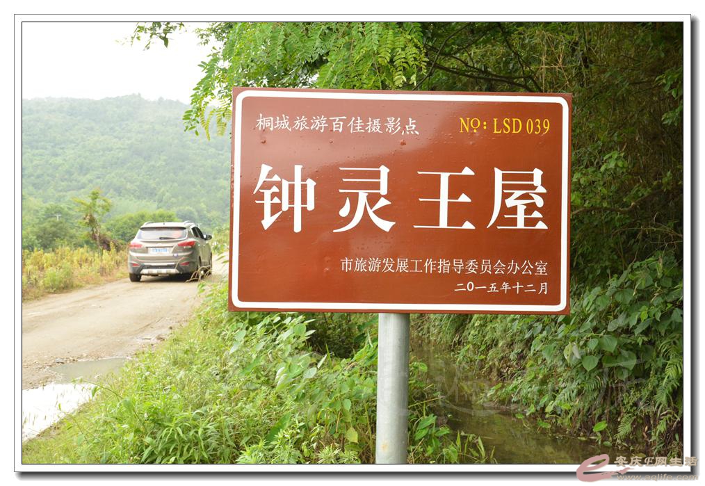 20160604 030.jpg