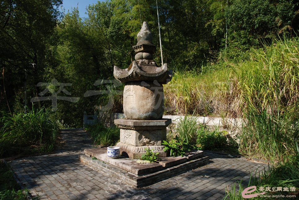 05.jpg