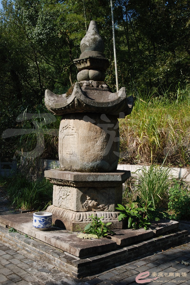 06.jpg