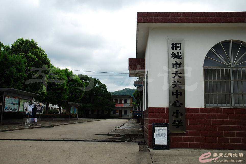 04.jpg