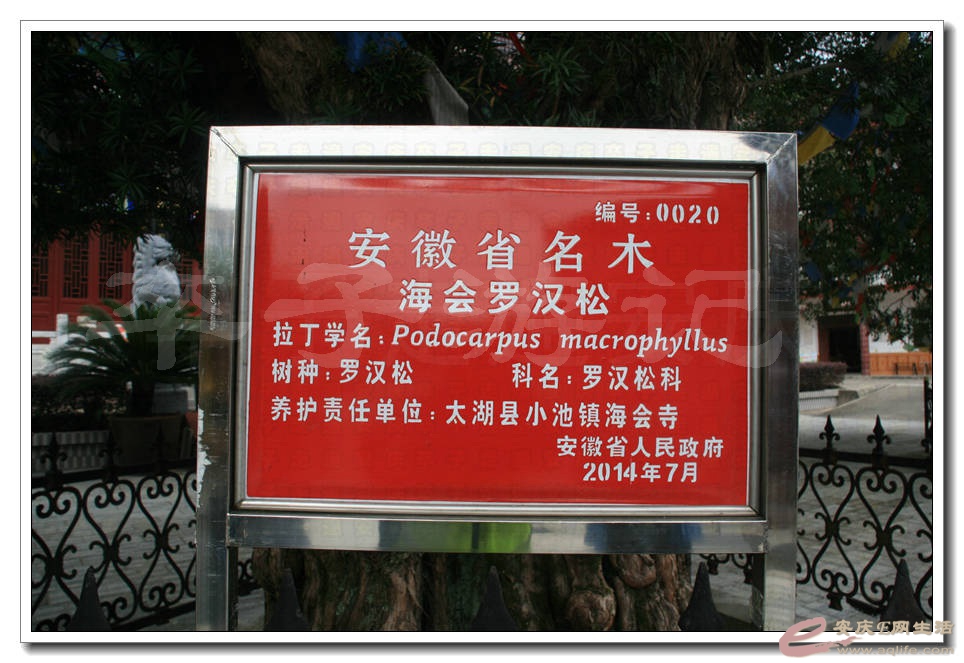 03.jpg