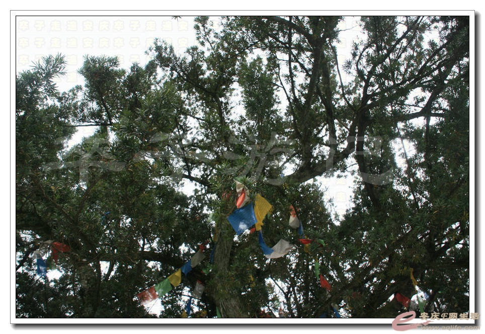07.jpg
