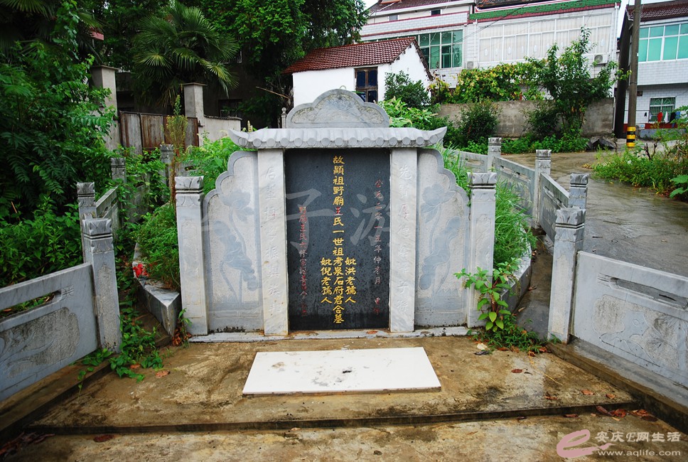 DSC_0404.jpg