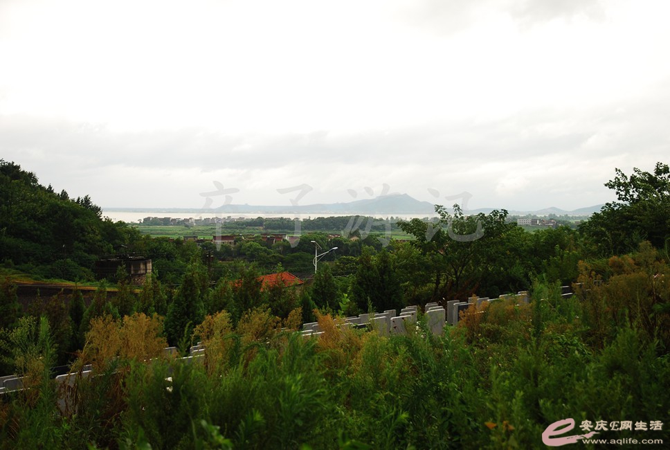 DSC_0491.jpg