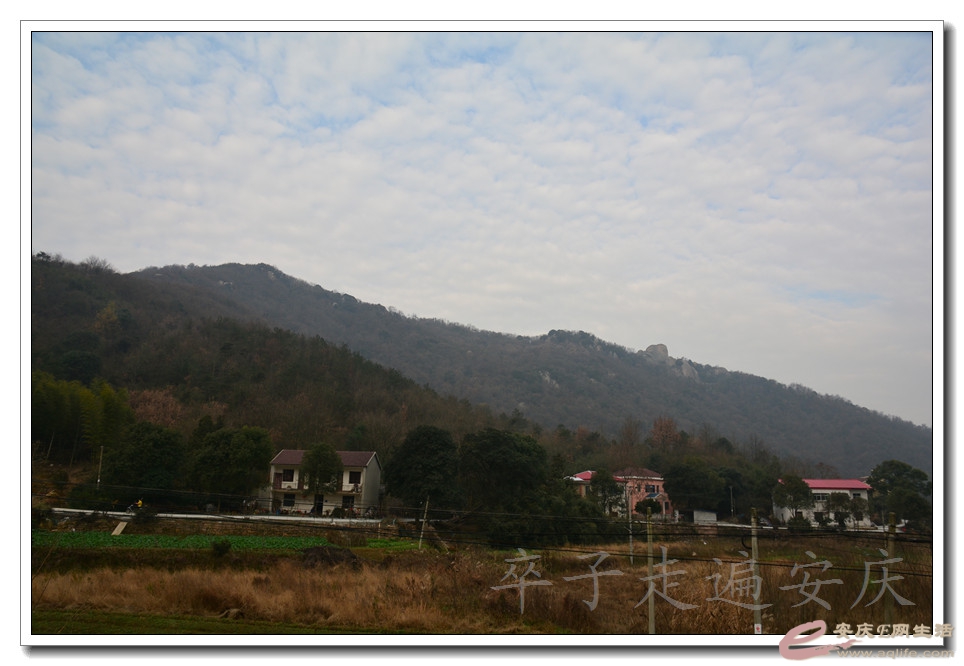 20160109 006.jpg