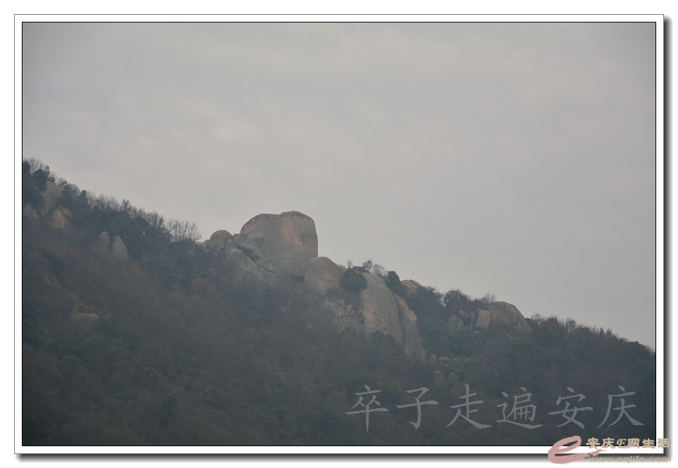 20160109 009.jpg