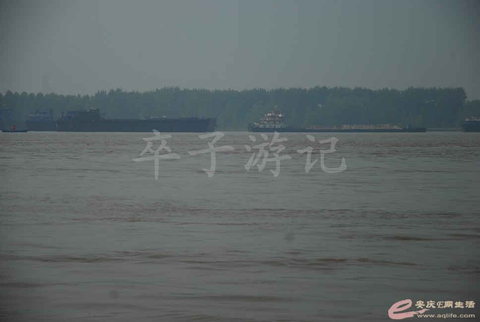 DSC_0549.jpg