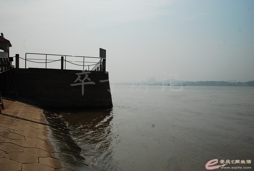 DSC_0559.jpg