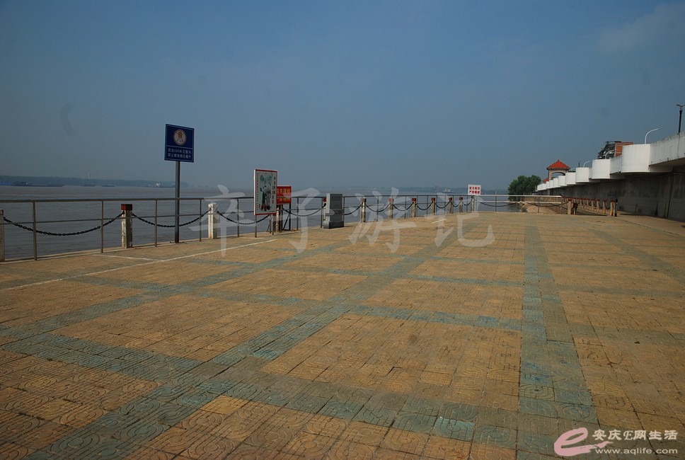DSC_0563.jpg