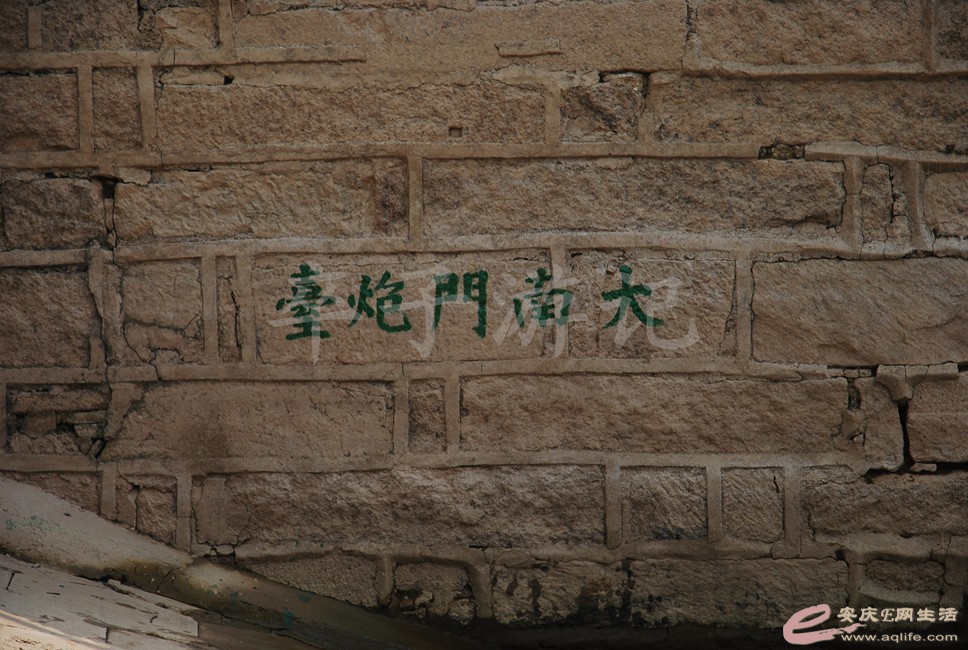 DSC_0564.jpg