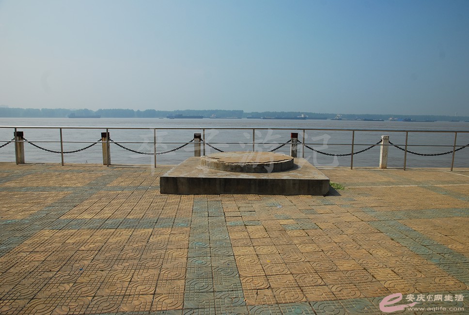 DSC_0571.jpg