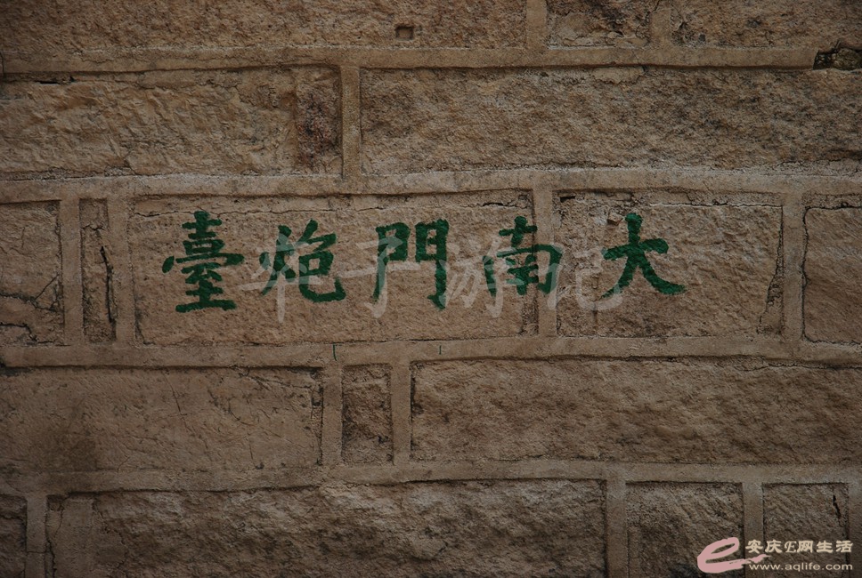 DSC_0585.jpg