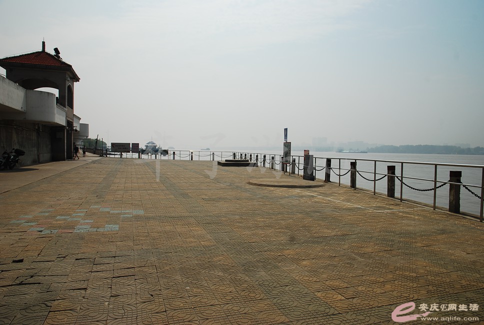 DSC_0586.jpg