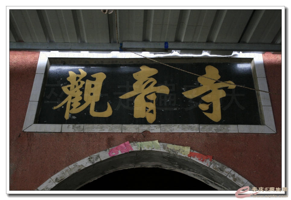 20150404 121.jpg