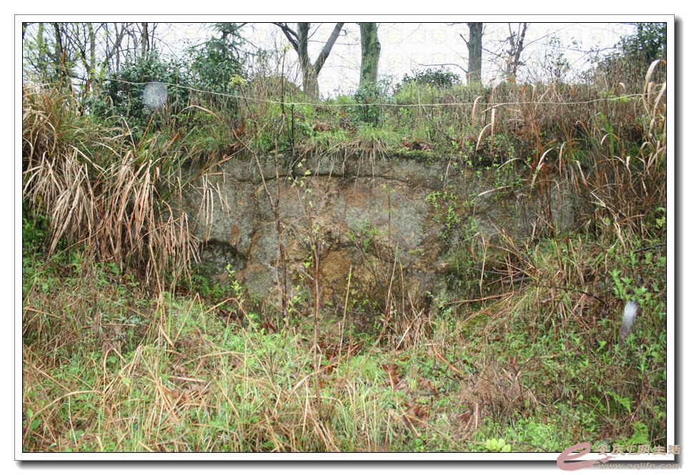 20150404 127.jpg