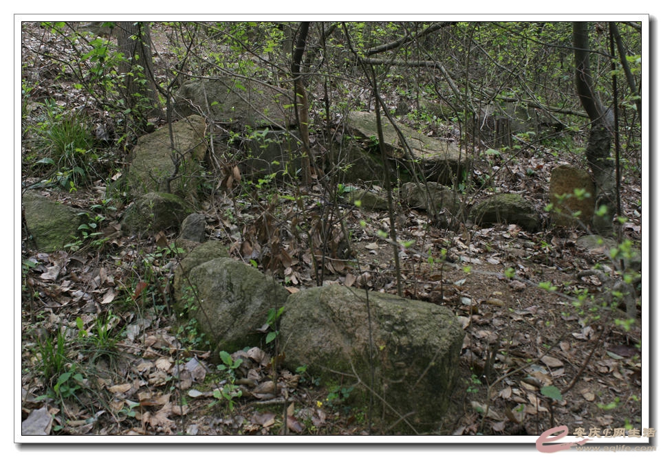 20150329 033.jpg