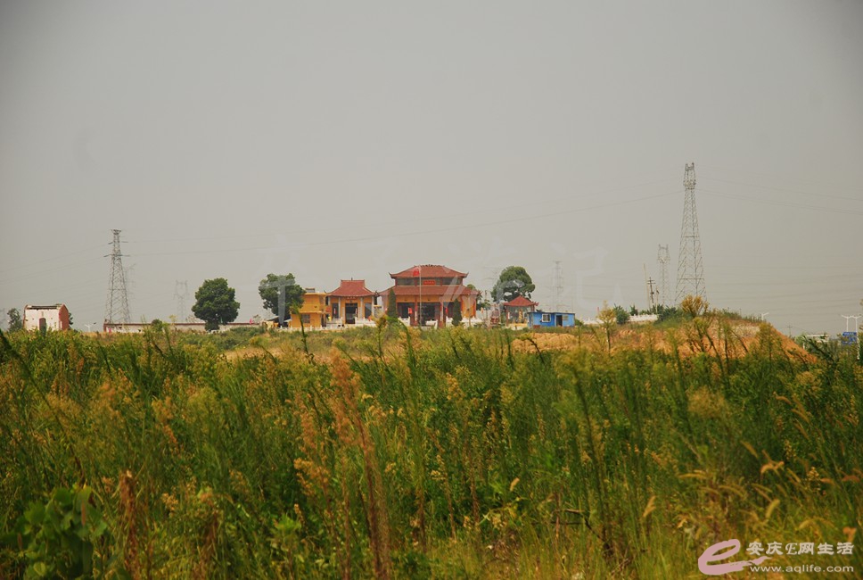 DSC_0722.jpg