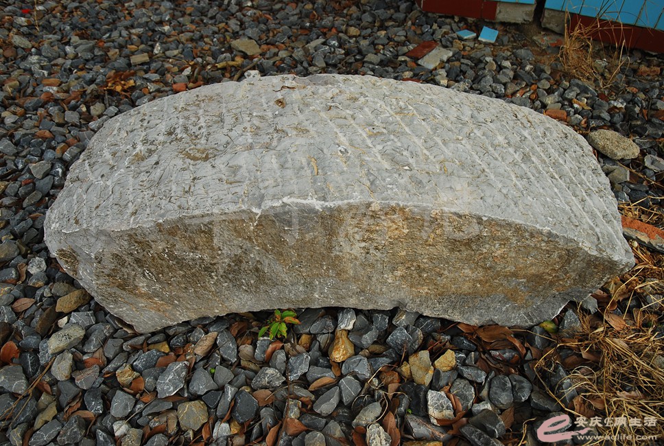 DSC_0730.jpg