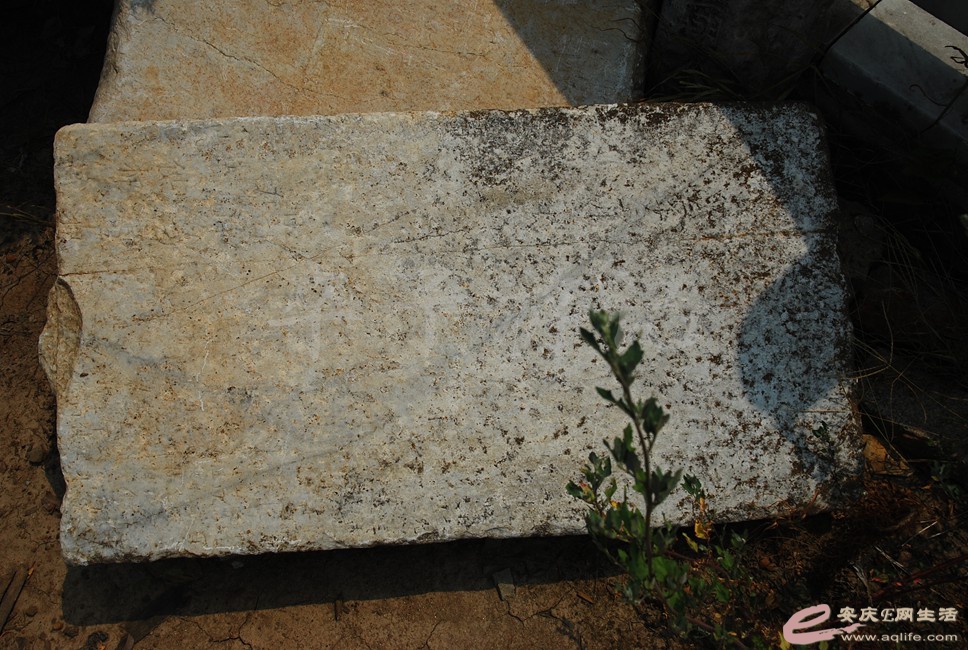 DSC_0741.jpg