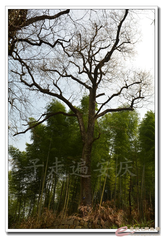 20160320 139.jpg