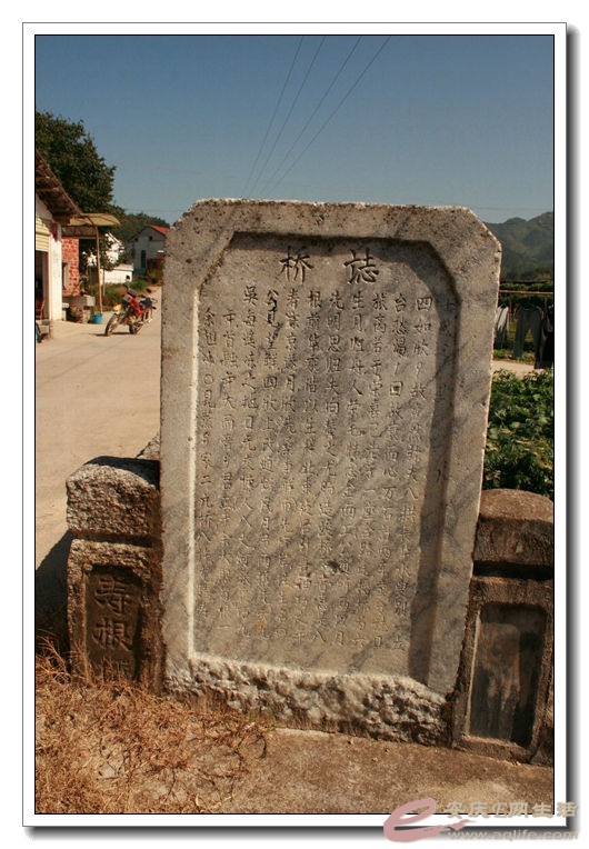 2014100106 542.jpg