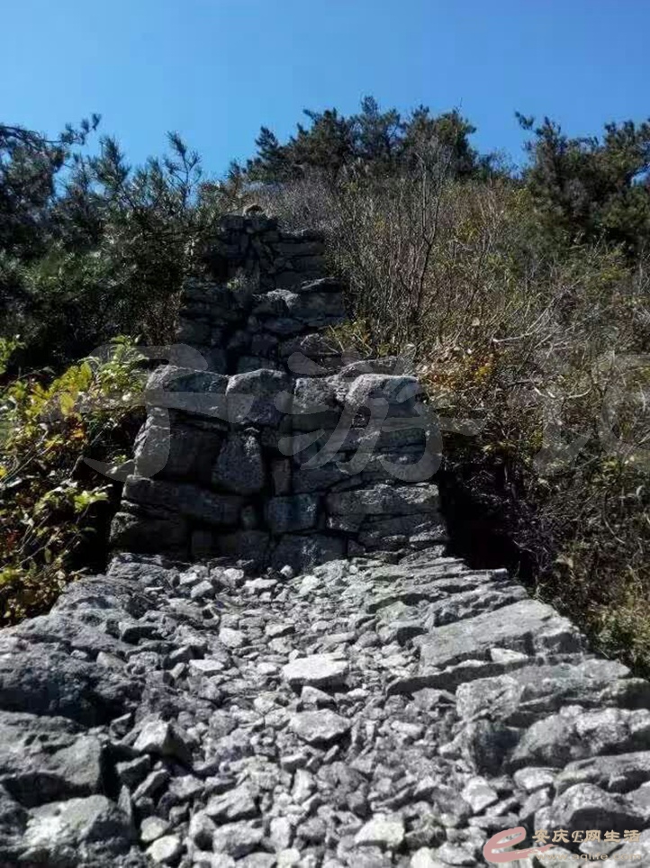 61.jpg