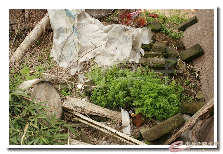 20140330 158.jpg