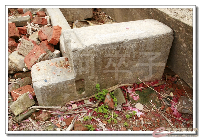 20140330 167.jpg