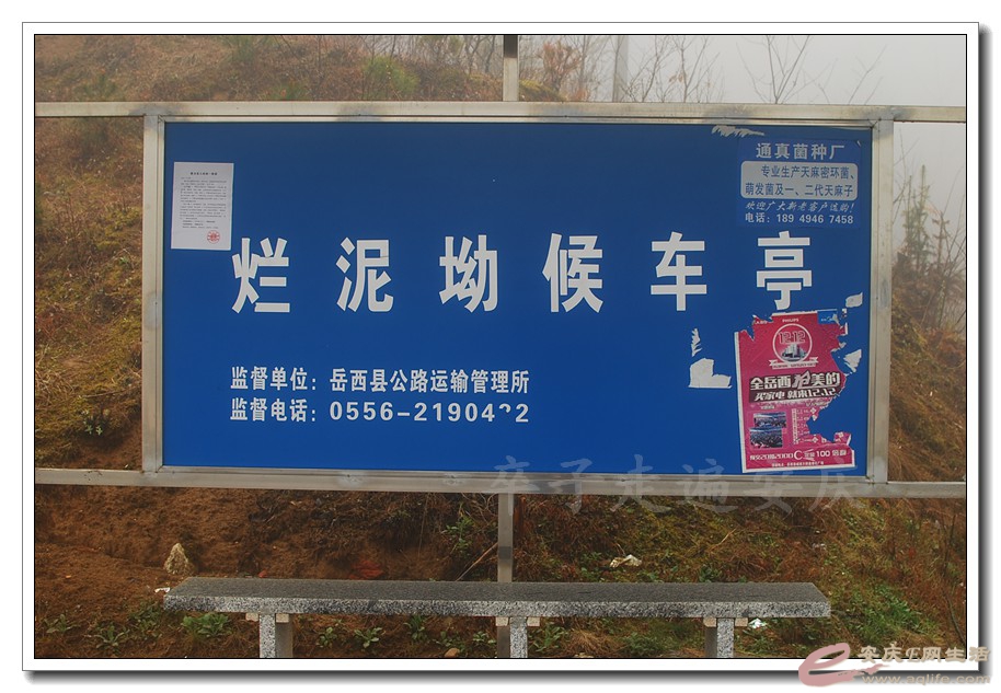 20160401 0006.jpg