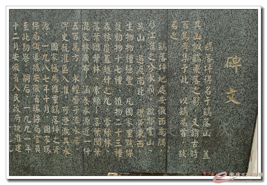 20160401 010.jpg