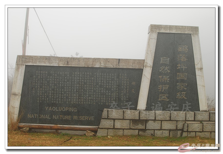 20160401 013.jpg