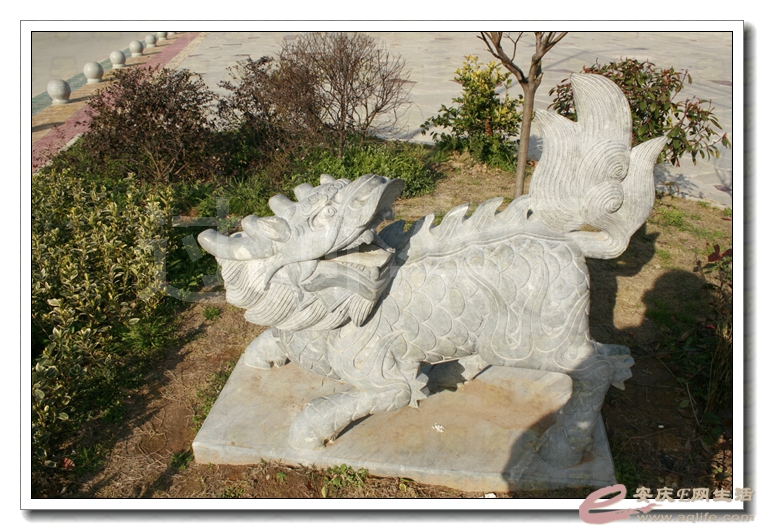20140315 336.jpg