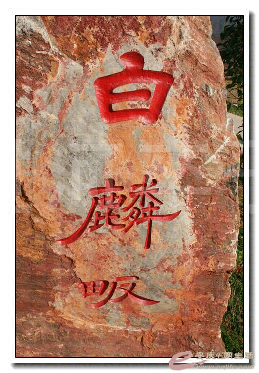 20140315 350.jpg