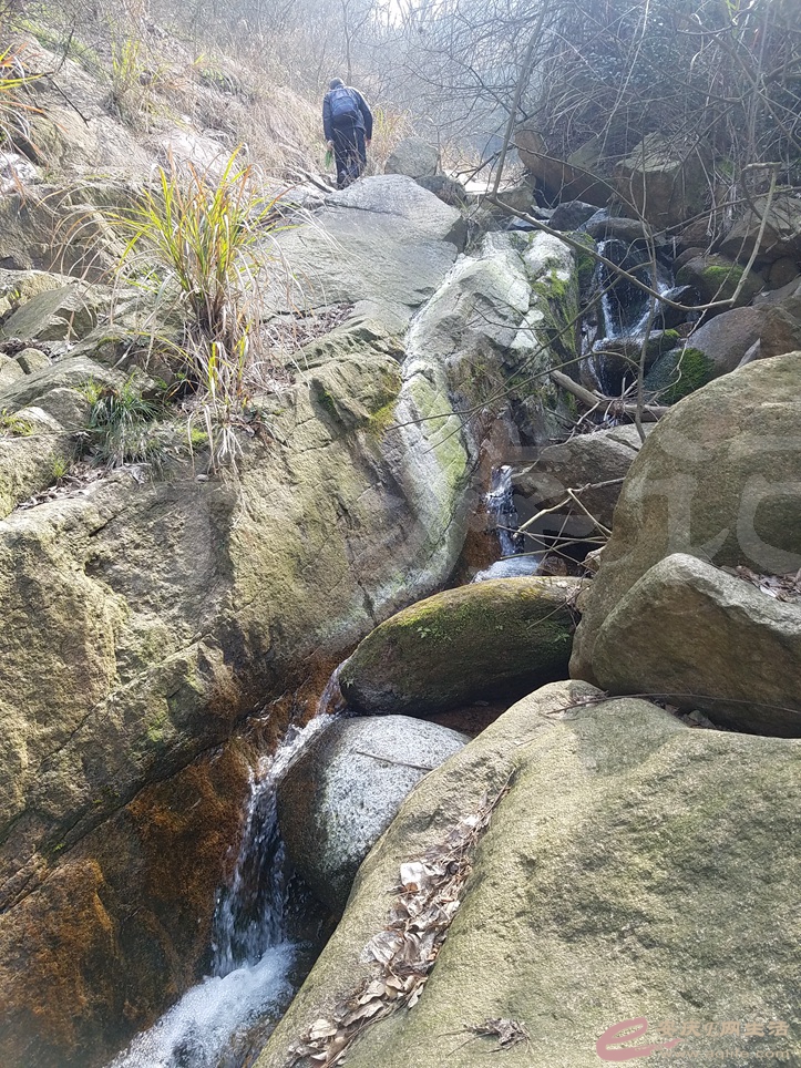 05.jpg
