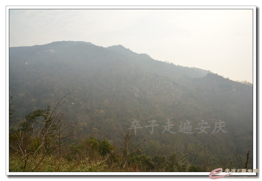 20160305 071.jpg