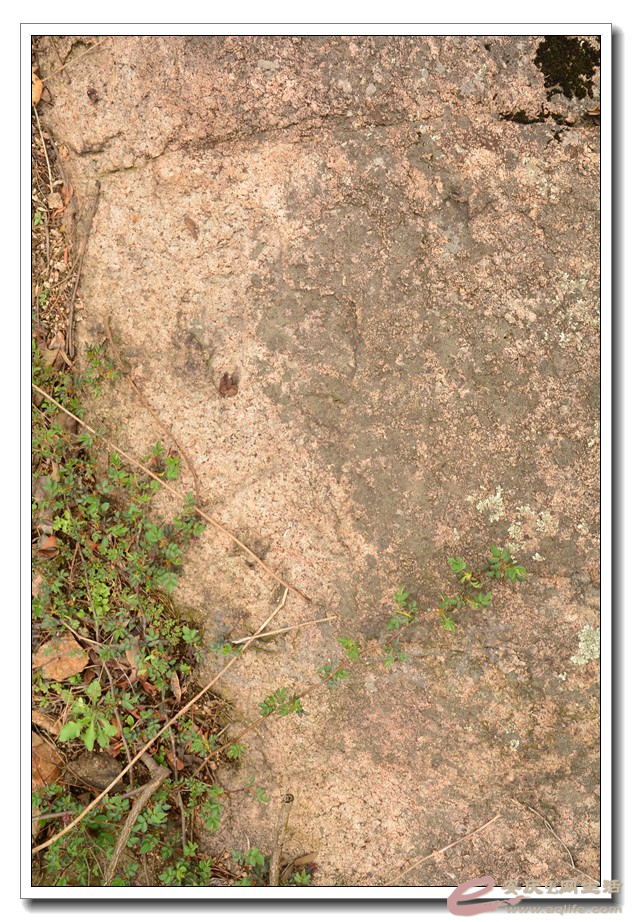 20160305 089.jpg