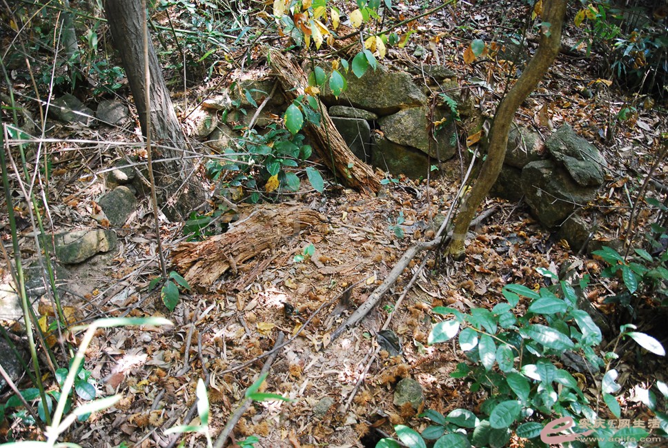 DSC_1160.jpg