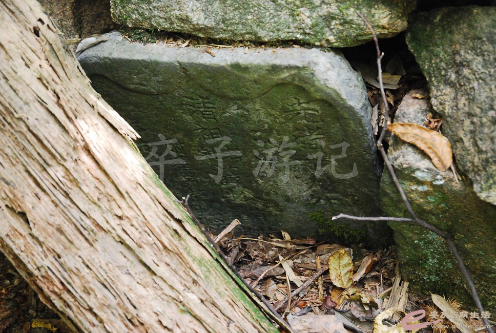 DSC_1161.jpg