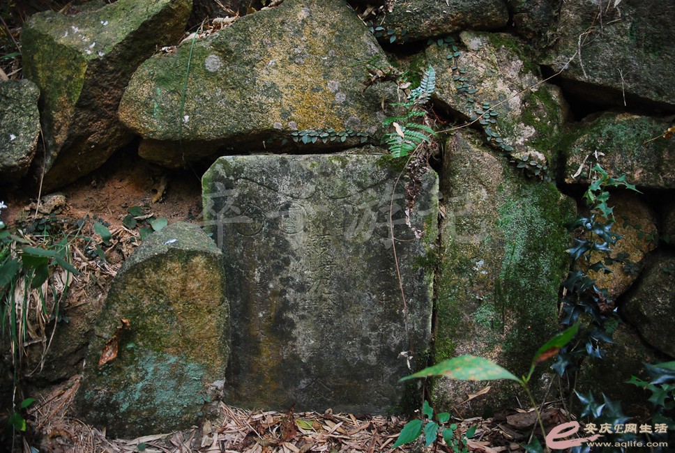 DSC_1169.jpg