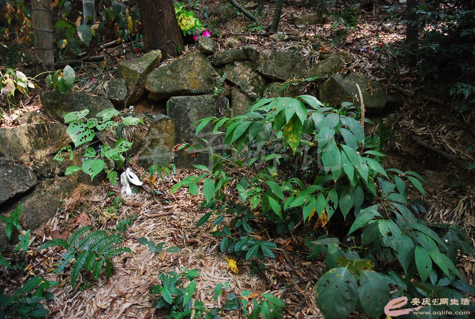 DSC_1177.jpg