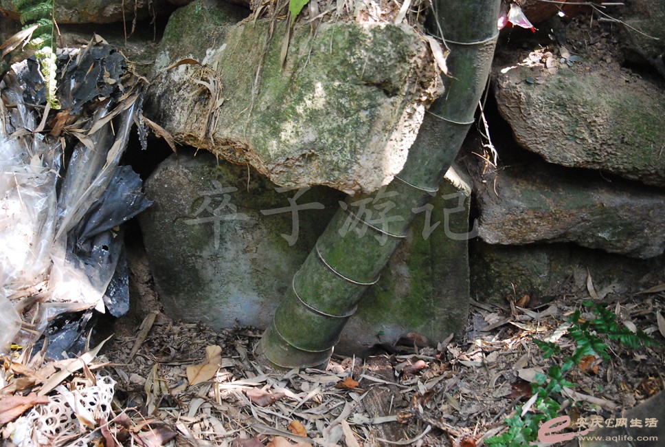 DSC_1179.jpg
