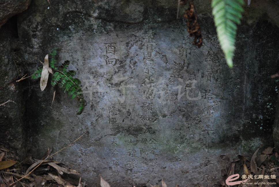 DSC_1191.jpg