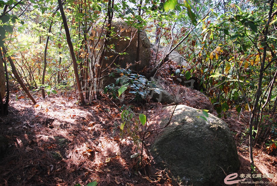 DSC_1199.jpg
