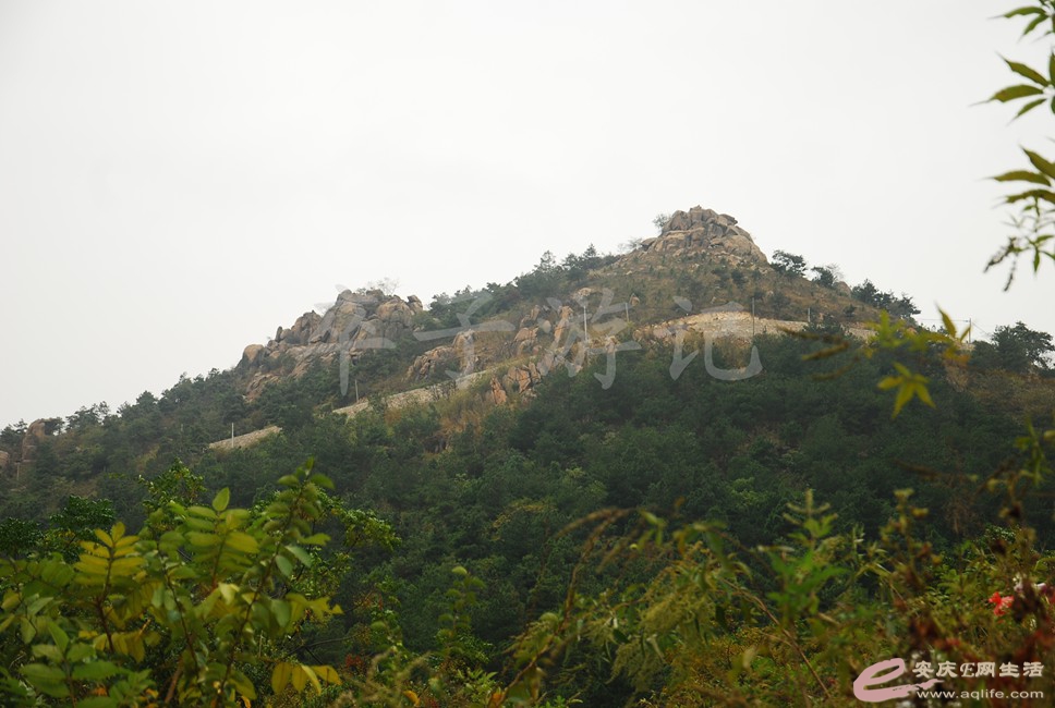 DSC_1314.jpg