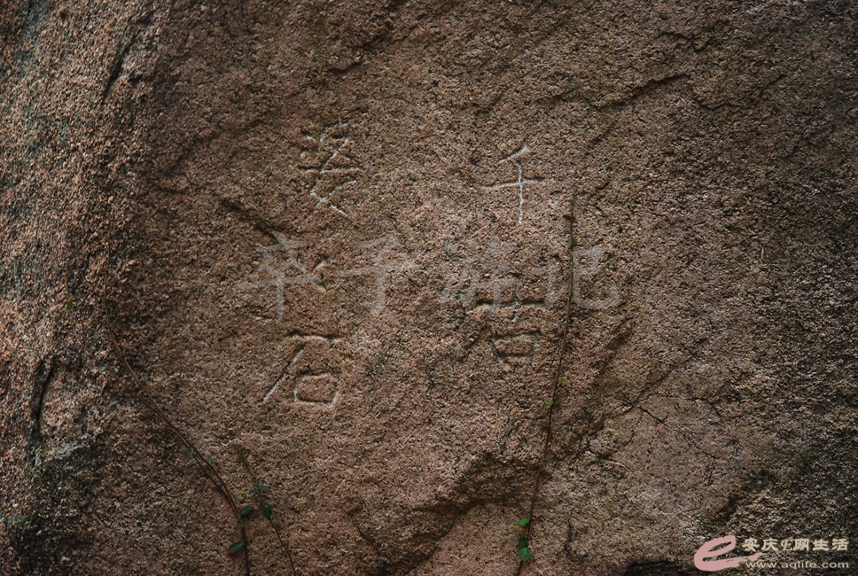 DSC_1337.jpg