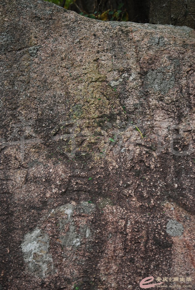 DSC_1344.jpg